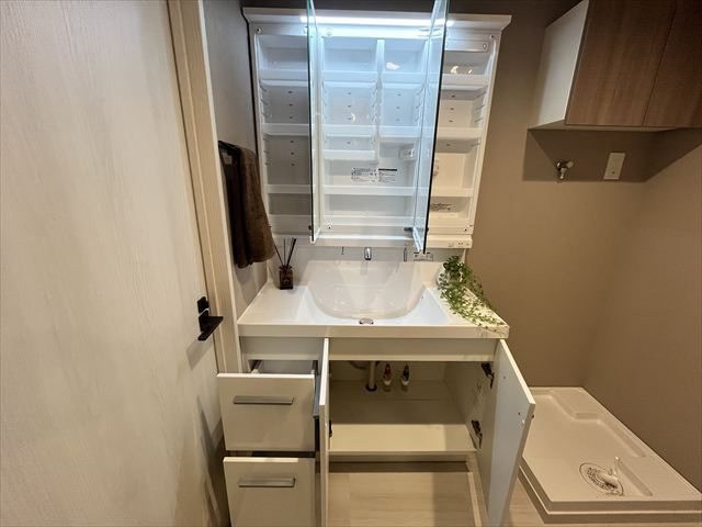 シャンプードレッサー