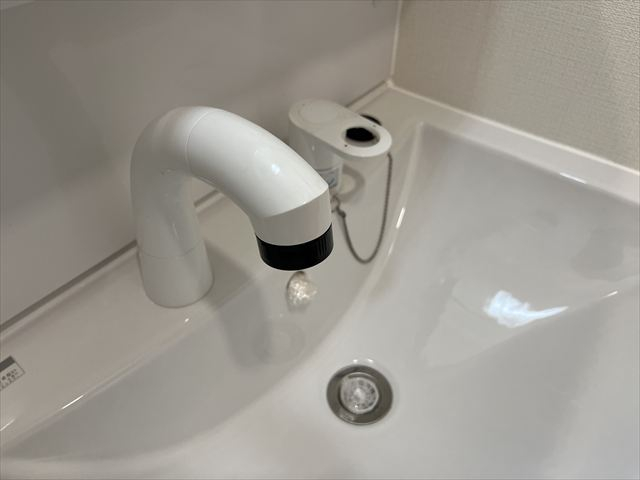 シャンプードレッサー